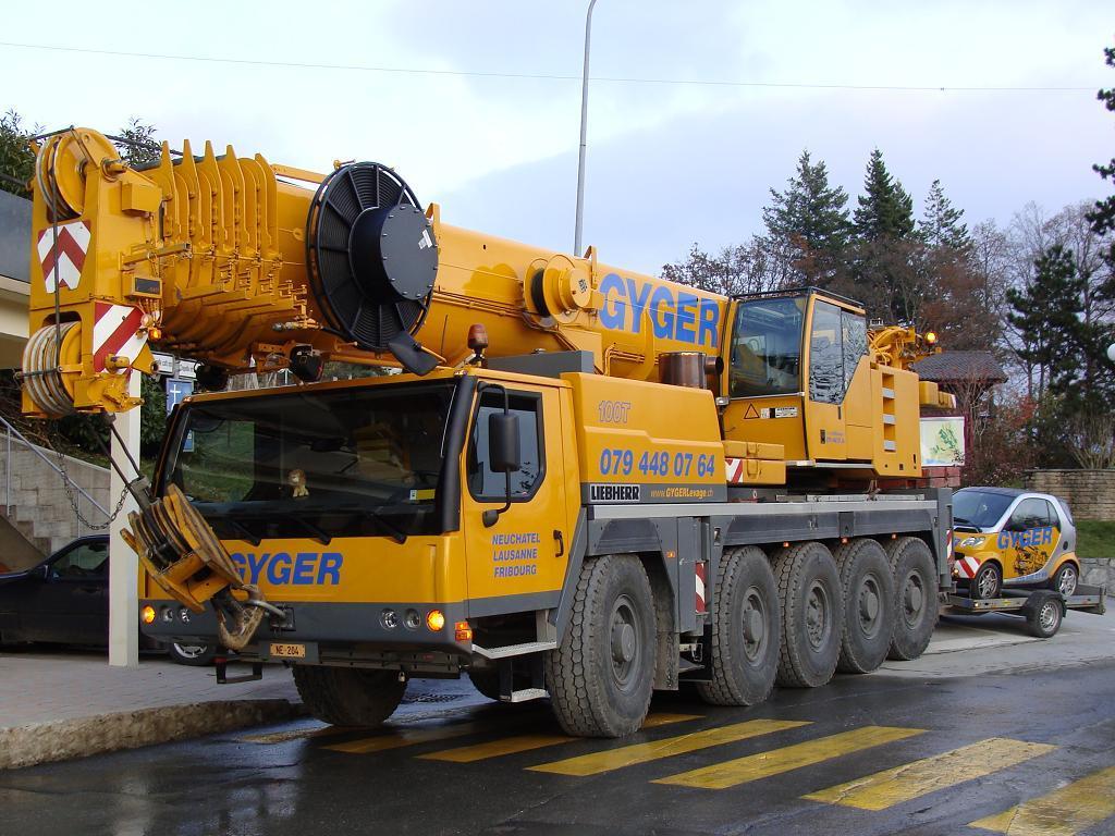 Les grues de DE GYGER (Suisse) 20081114dsc00834-
