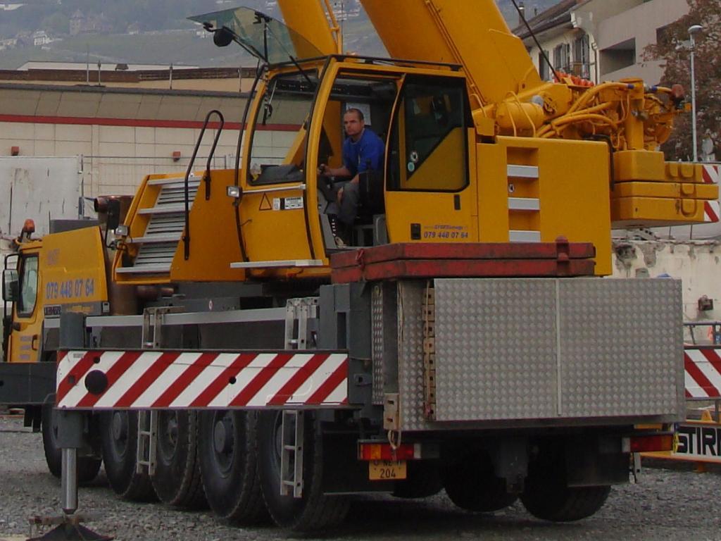 Les grues de DE GYGER (Suisse) 20091021dsc02916--