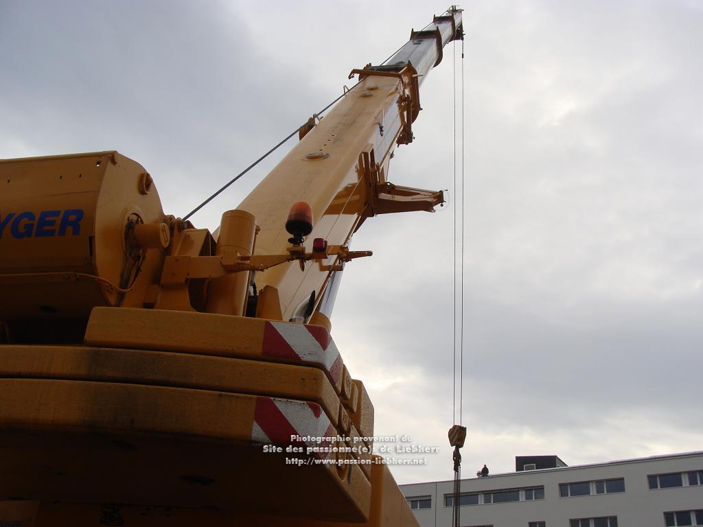 Les grues de DE GYGER (Suisse) 20091021dsc02928-