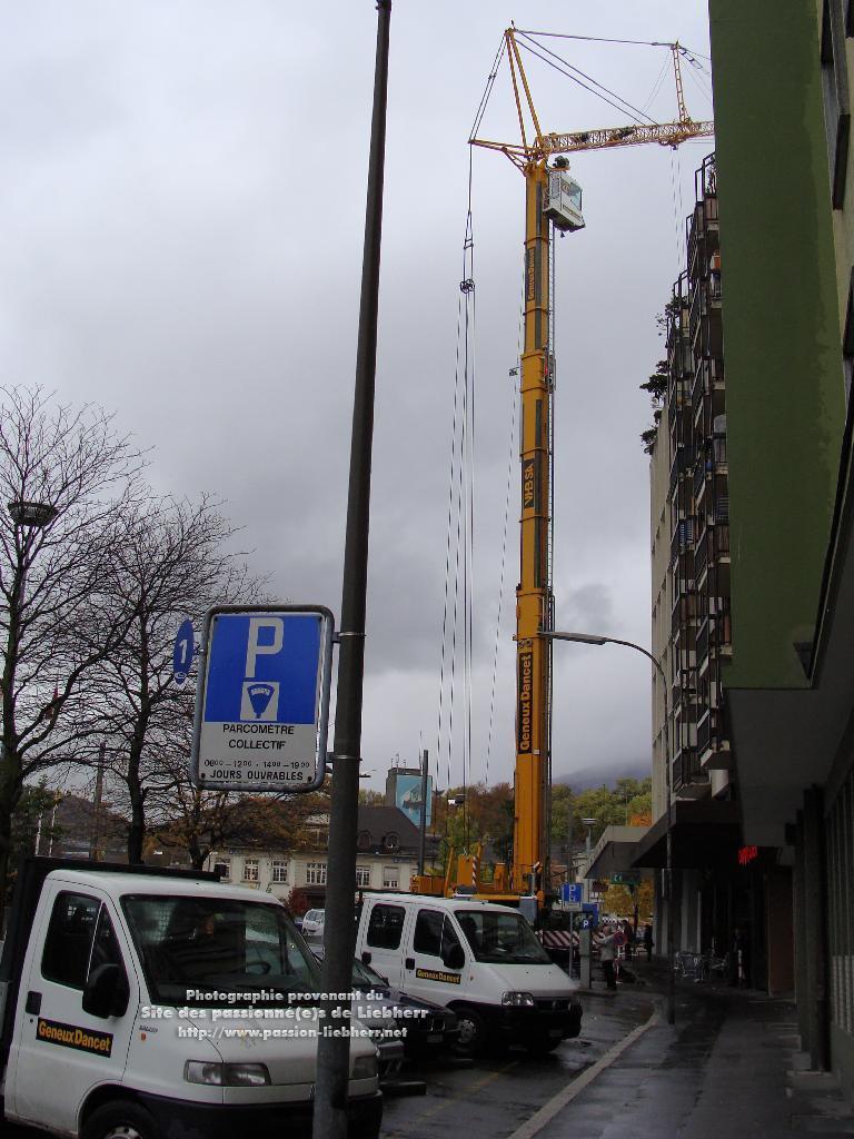 Les grues de GENEUX DANCET 20091102dsc03295-