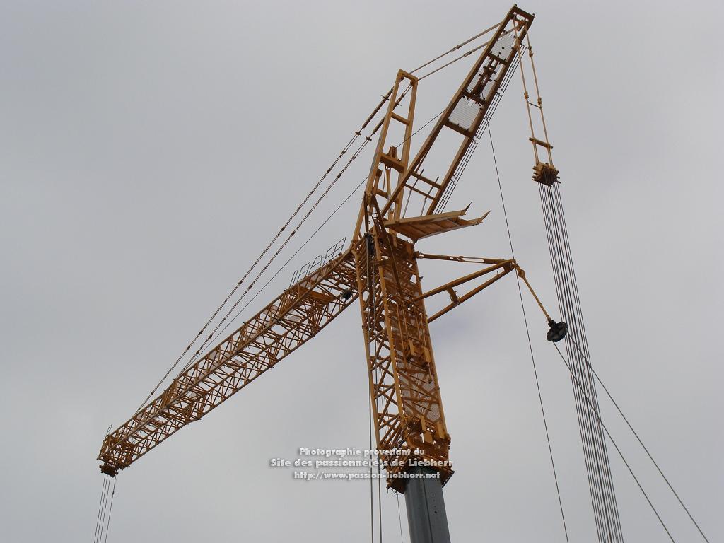 Les grues de SENN AG (Suisse) 20100410dsc04325-