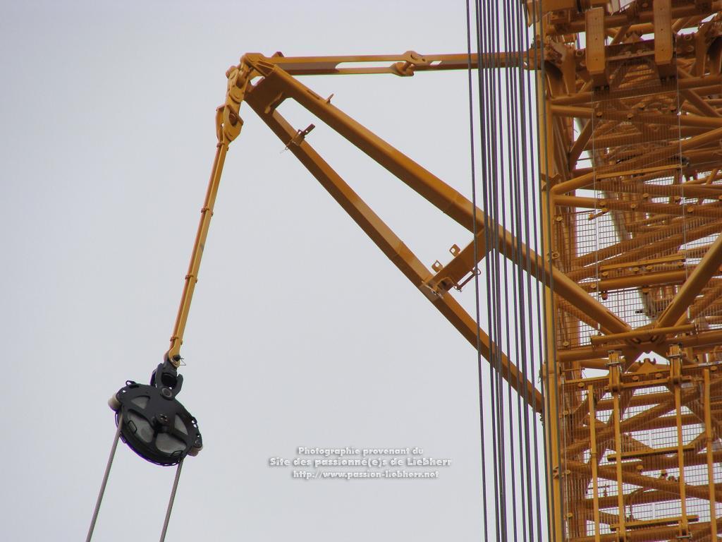 Les grues de SENN AG (Suisse) 20100410dsc04336-