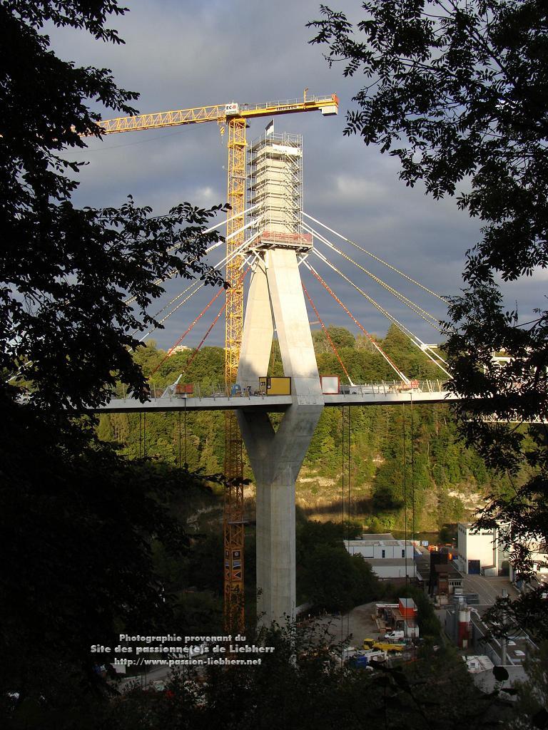 https://www.passion-liebherr.net/galeries/g_extras_lucien/20121001dsc14066-.jpg