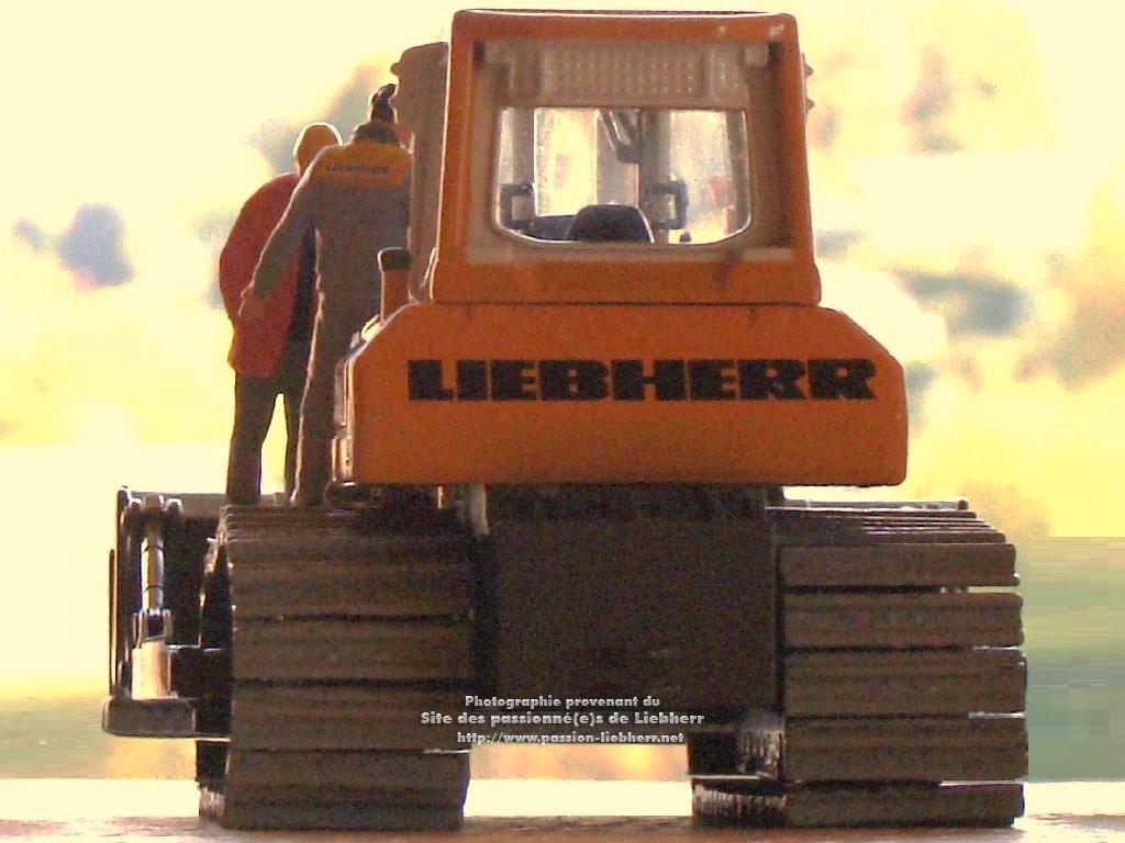 https://www.passion-liebherr.net/galeries/mr_lucien/20081017dsc00544_-_.jpg