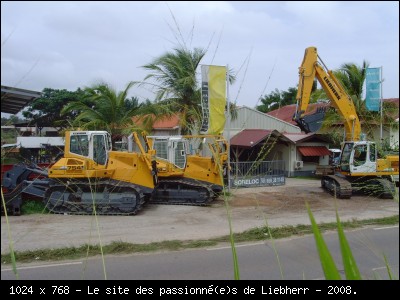 SNV30041.JPG